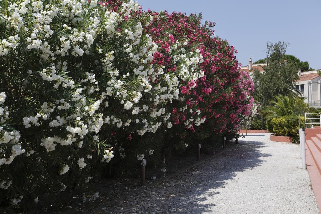 Vacanceole - Residence Las Motas Alénya Exterior foto